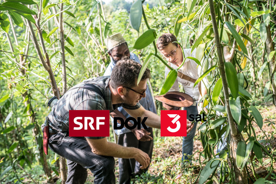 DOK auf SRF